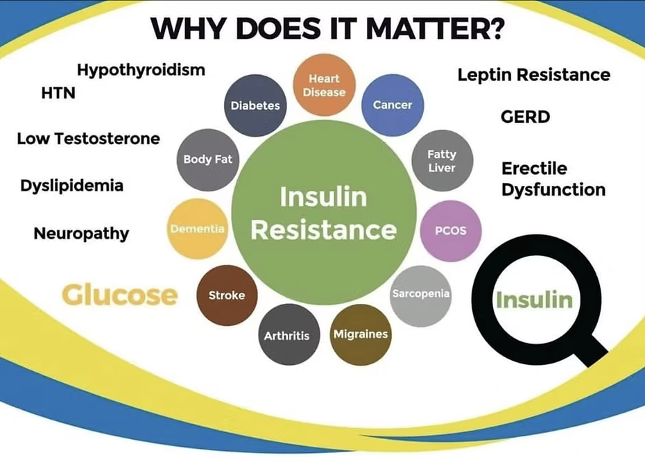 Insulin Resistance Information